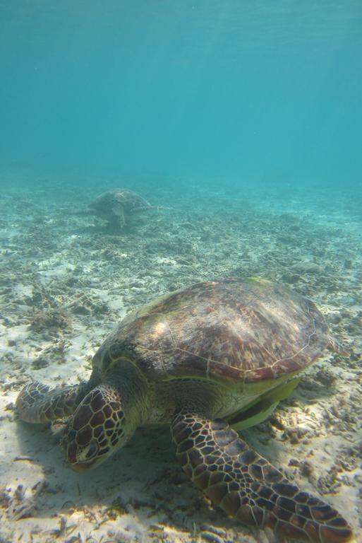 Tokashiku Marine Village Tokasiki Kültér fotó